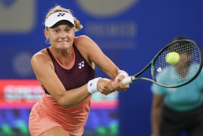 九游体育-科维托娃连续十五场比赛得分超过精彩发挥，雄鹿挑战极限！的简单介绍